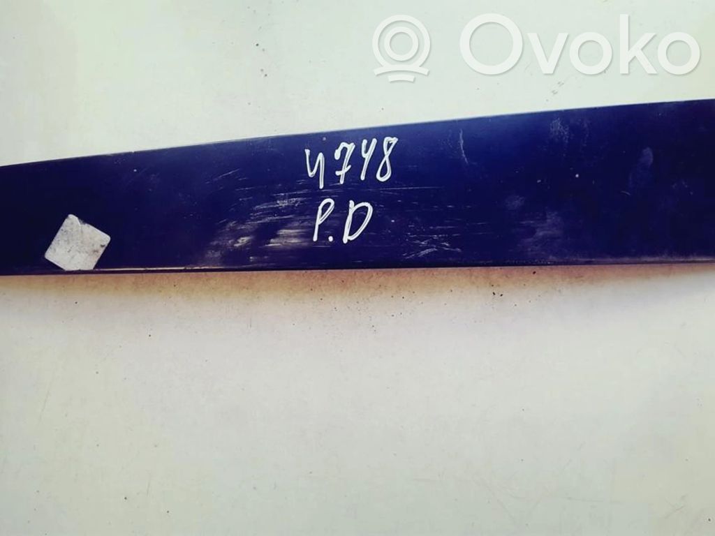 Volkswagen PASSAT B7 Ornament geam ușă față 