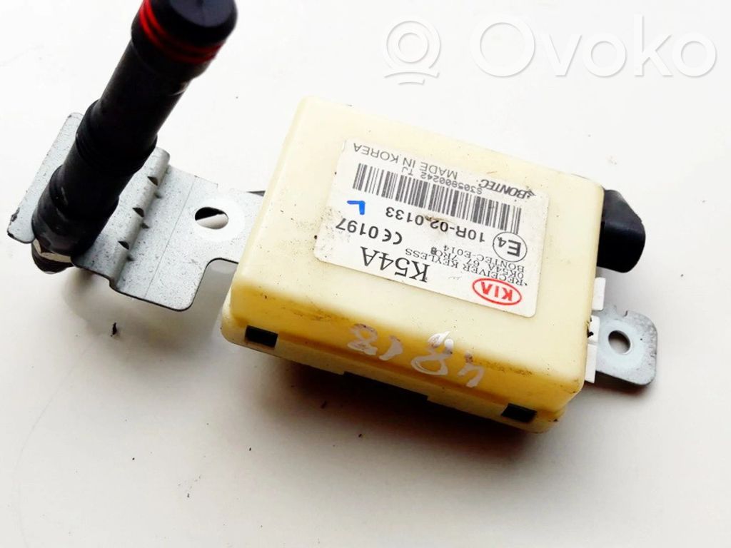 KIA Carnival Other control units/modules 