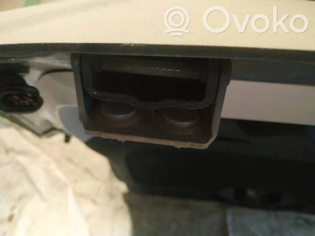 Tailgate/trunk/boot hinge