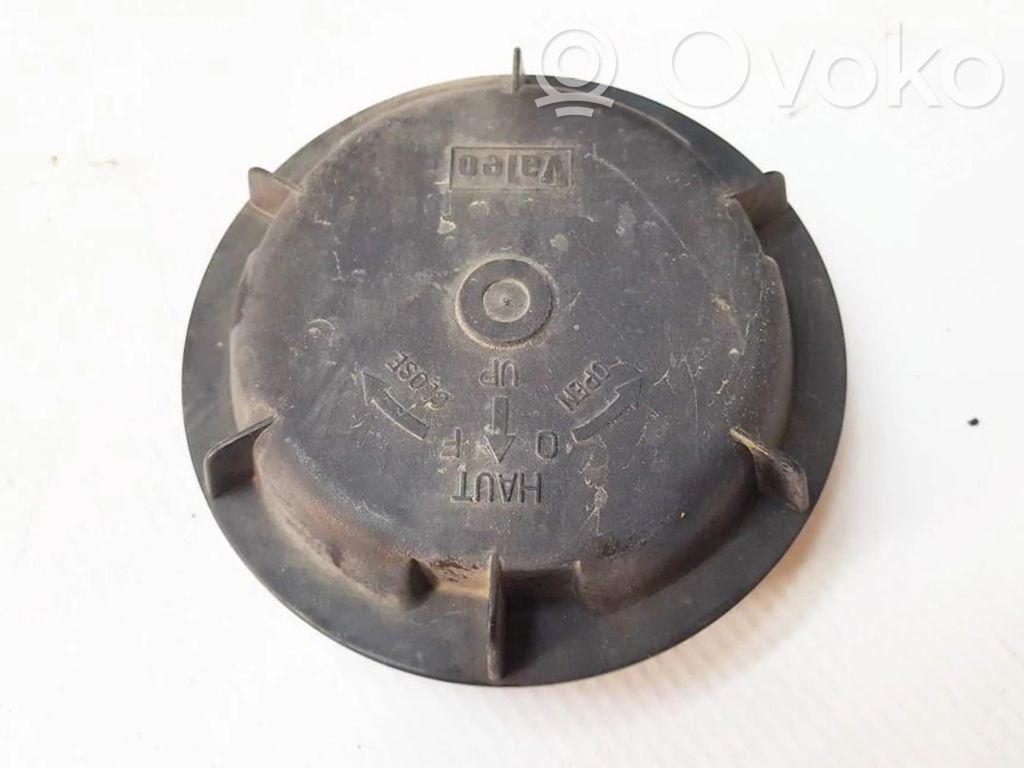 Renault Scenic I Parapolvere per faro/fanale