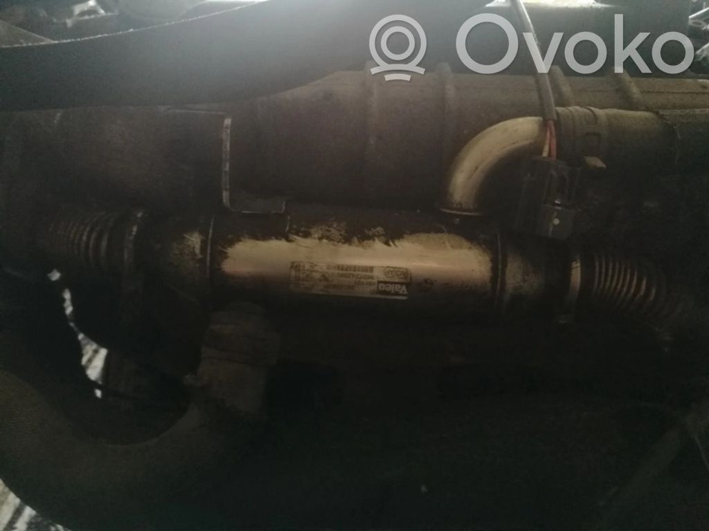 Peugeot 406 Valvola di raffreddamento EGR 