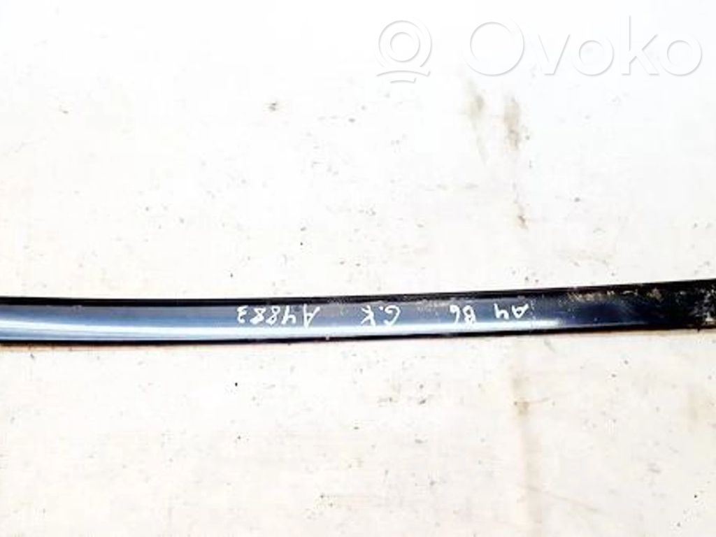 Audi A4 S4 B6 8E 8H Mască ușă spate (turnată) 