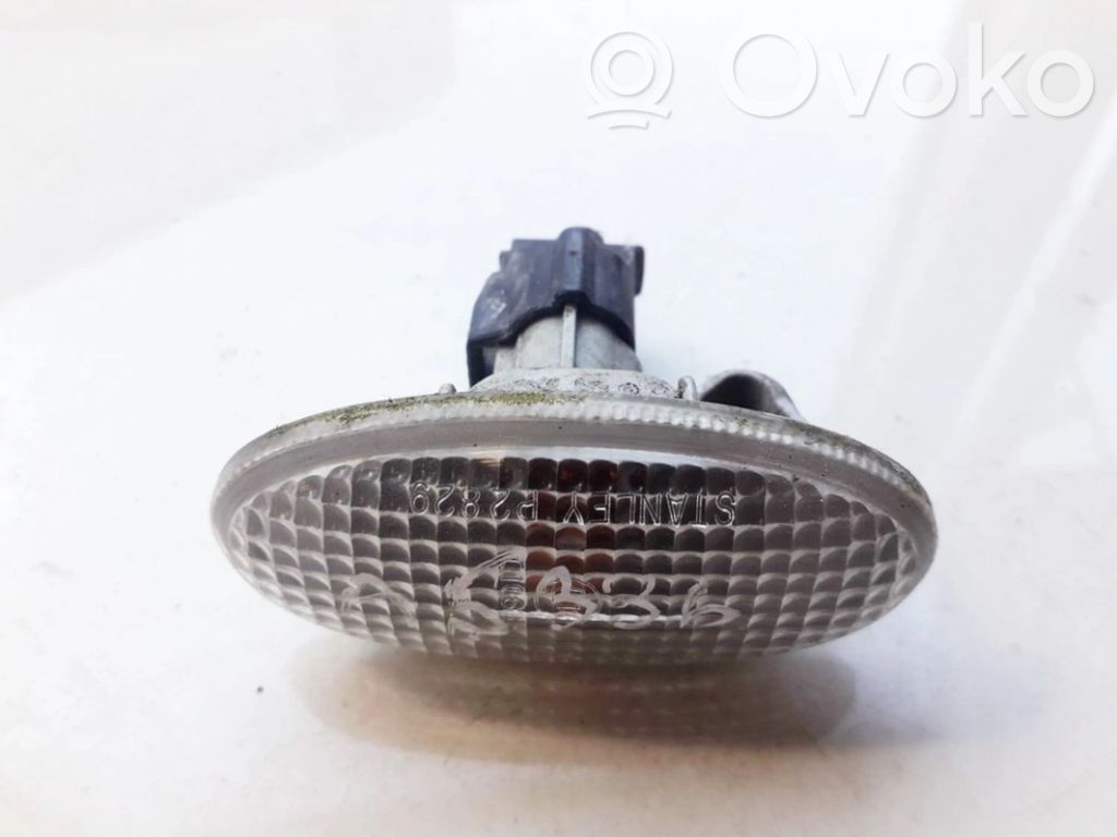 Seitenblinker   P2829,P2829