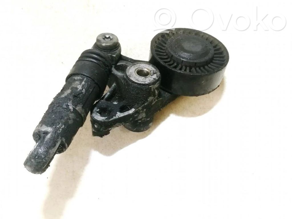 Audi A6 Allroad C6 Tendicinghia generatore/alternatore 