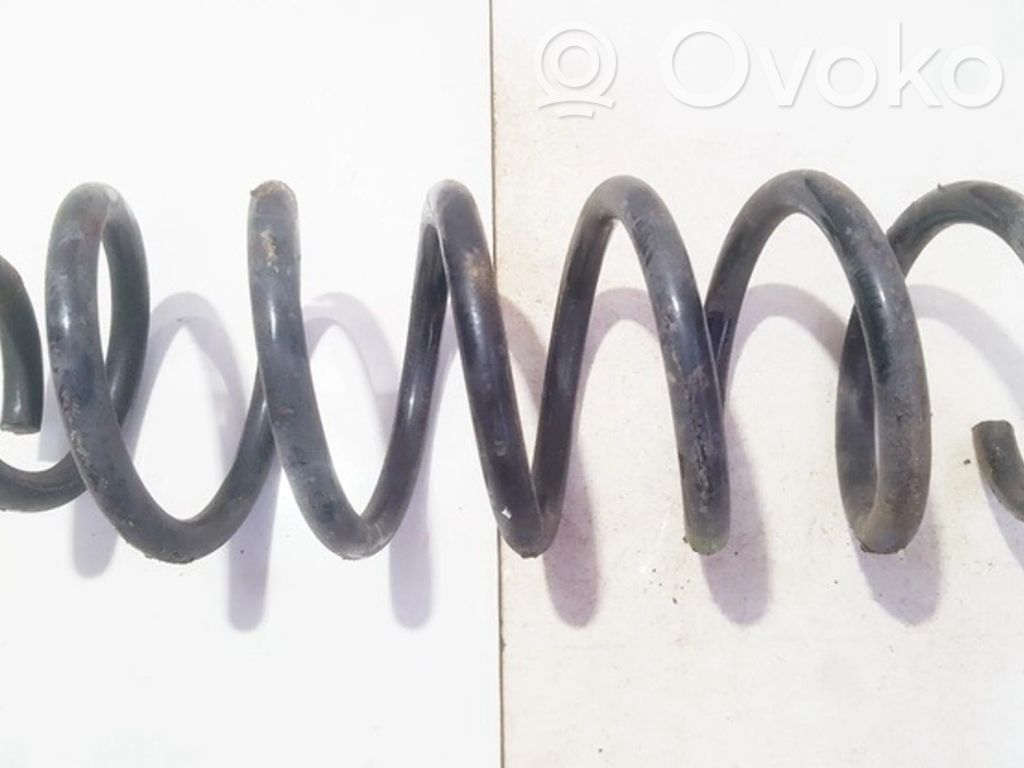Rear coil spring