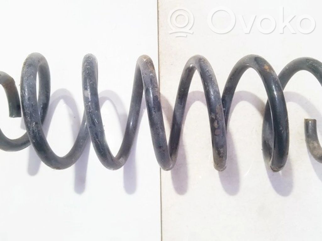 Rear coil spring