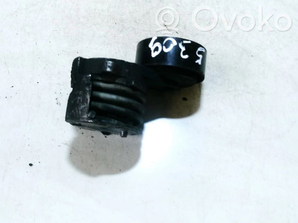 Opel Antara Tensor de correa del alternador 