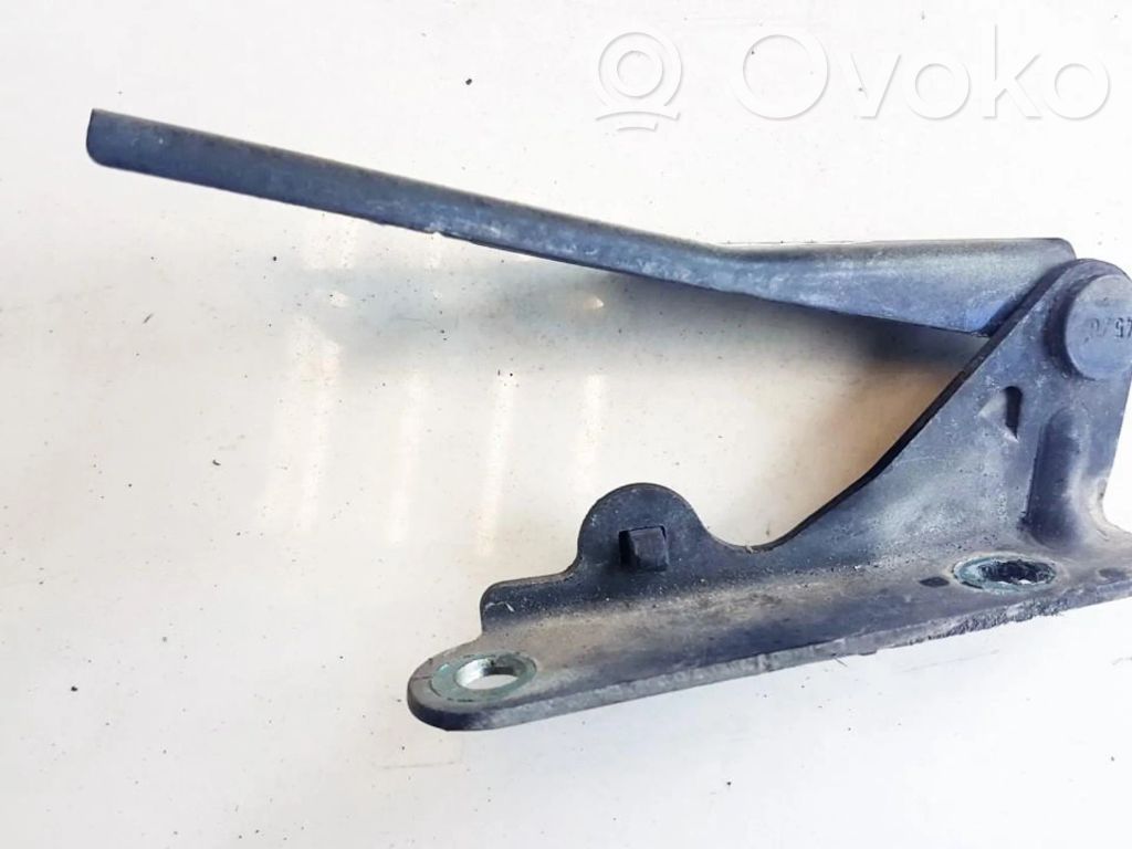 Seat Ibiza III (6L) Cerniere del vano motore/cofano 