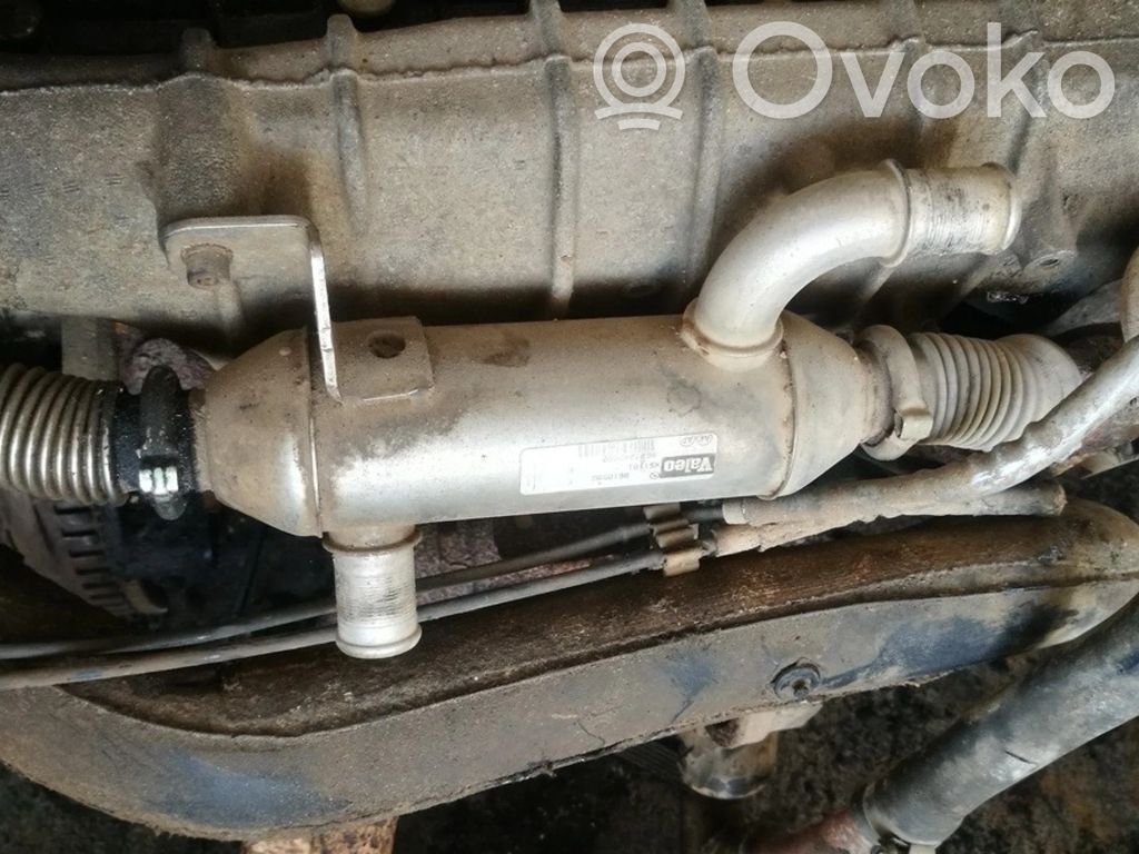 Citroen C5 Valvola di raffreddamento EGR 