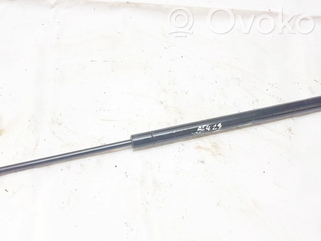 Tailgate/trunk strut/damper