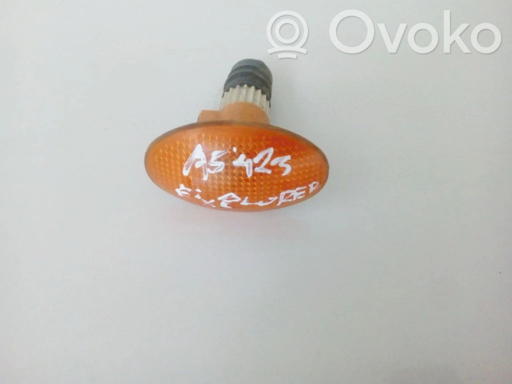 Seitenblinker