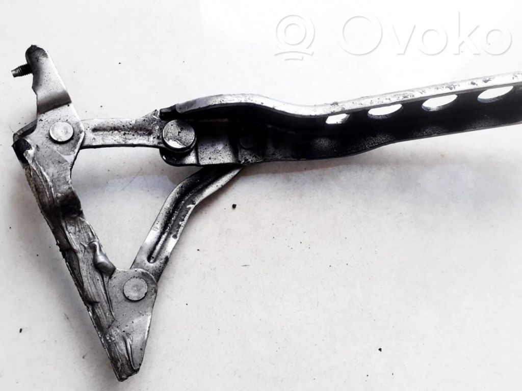 Skoda Octavia Mk2 (1Z) Cerniere del vano motore/cofano