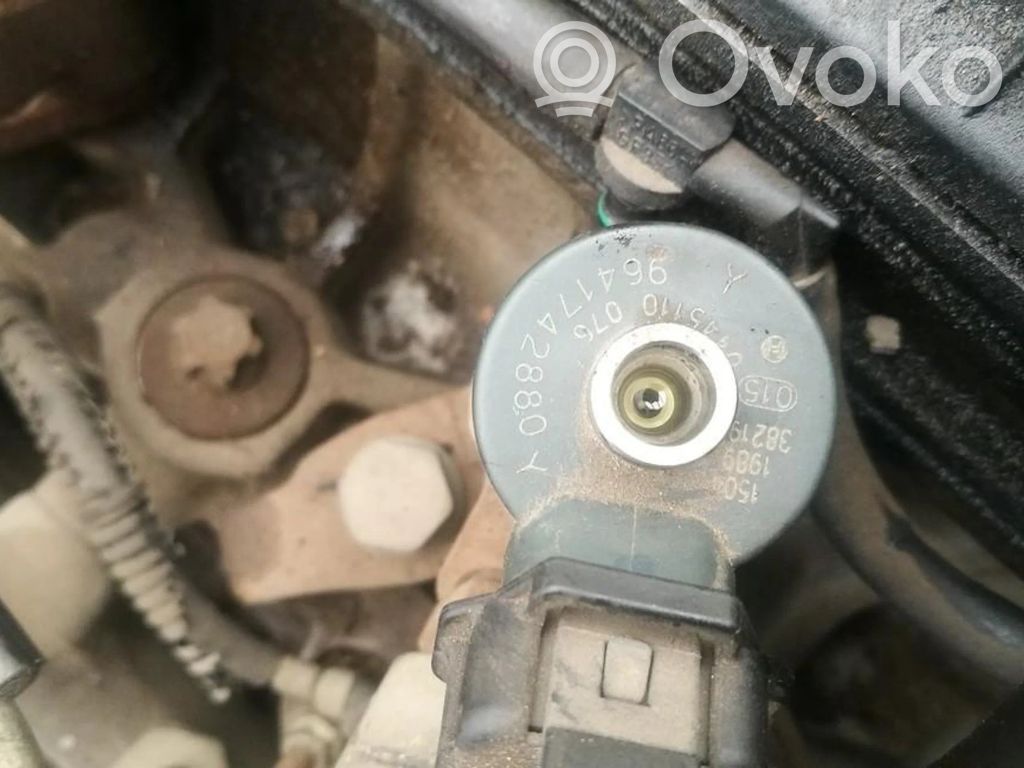 Injector combustibil   0445110076,9641742880Y,0445110076,9641742880Y
