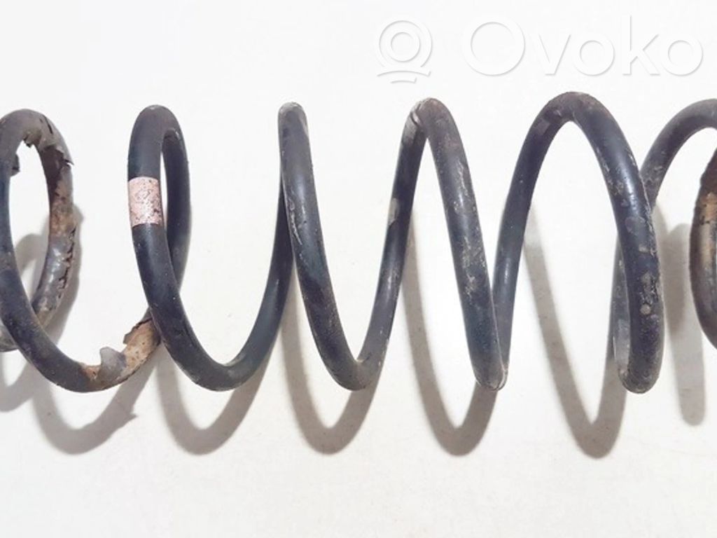 Muelle espiral trasero