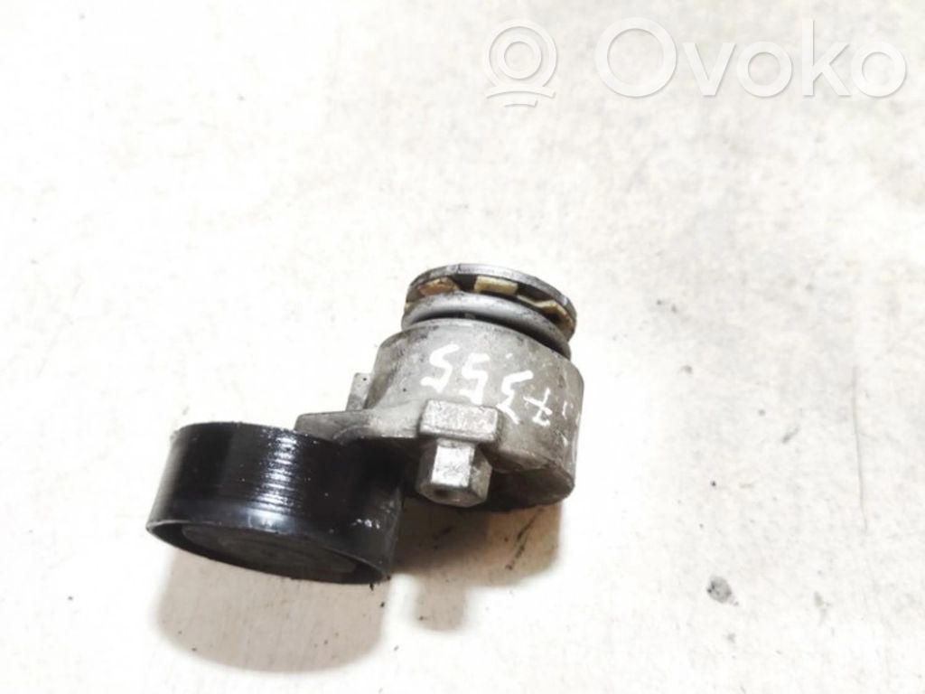 Nissan Note (E11) Tendicinghia generatore/alternatore 