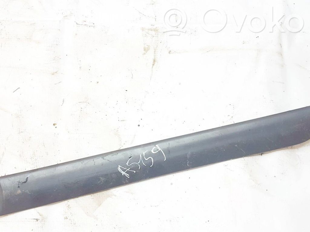 Ford Focus Mască ușă spate (turnată) 