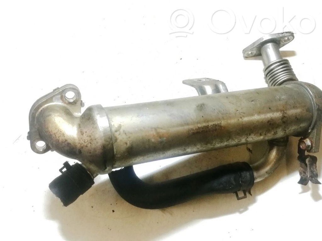 EGR aušintuvas   284162A710,284162A710