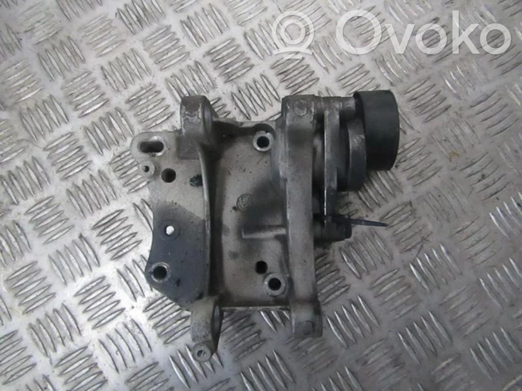 Peugeot 307 Tendicinghia generatore/alternatore 