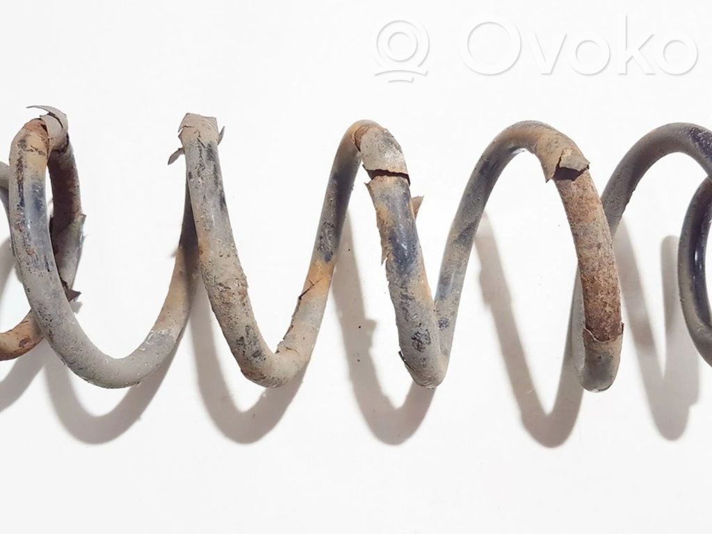 Muelle espiral trasero