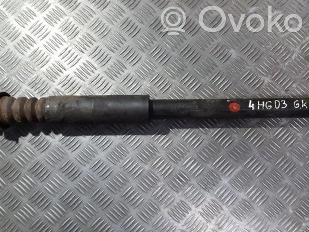 Hyundai Getz Amortizor spate 
