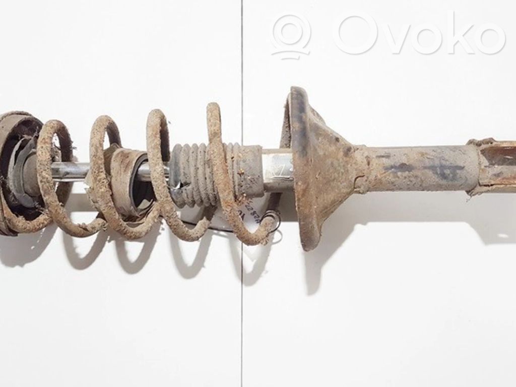 Stoßdämpfer hinten