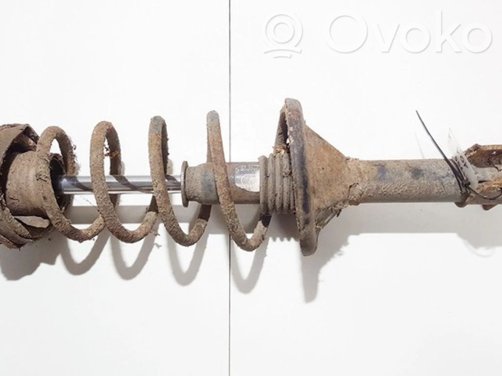 Stoßdämpfer hinten