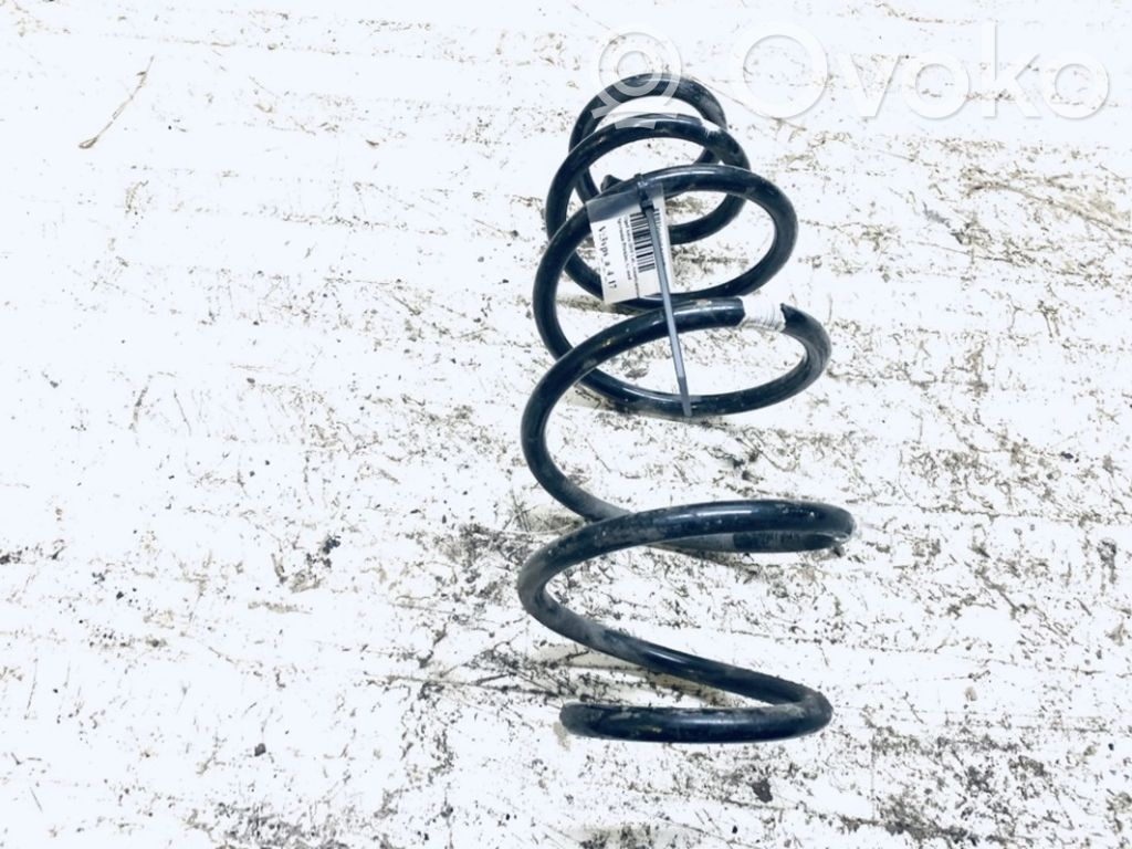 Front coil spring