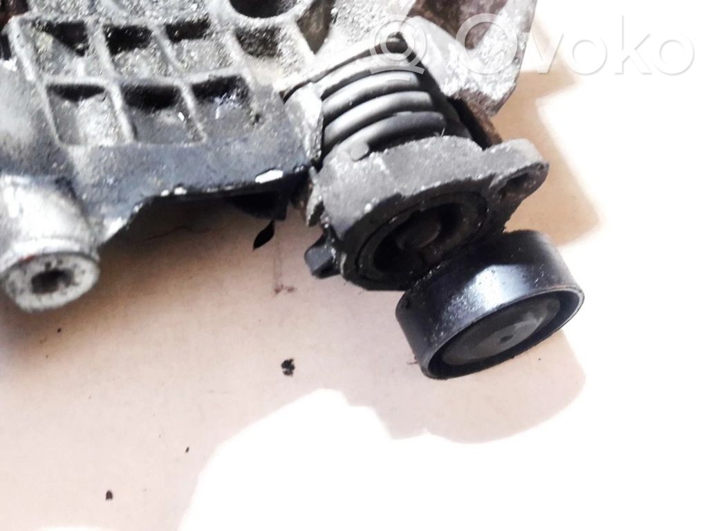 Întinzător curea generator/alternator