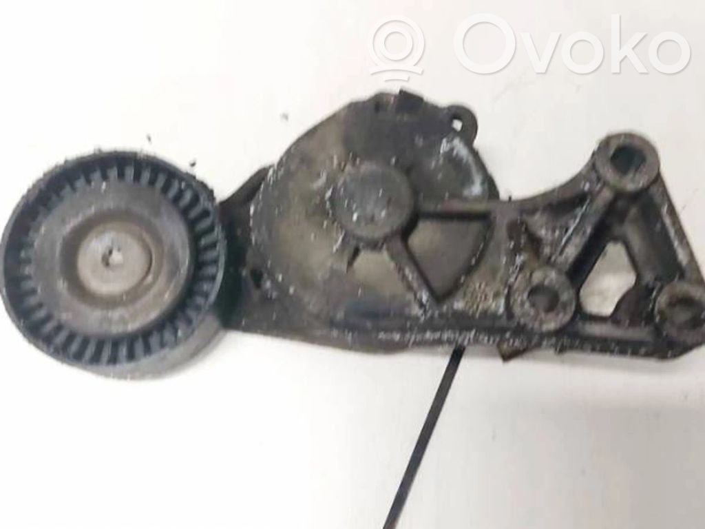 Volkswagen Golf IV Tendicinghia generatore/alternatore 