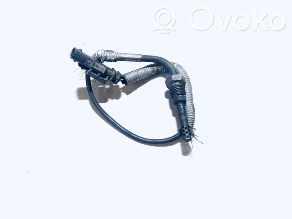 Abgastemperatursensor   31319841,31319841
