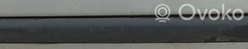 Nissan Almera Tino Rivestimento della portiera anteriore (modanatura)