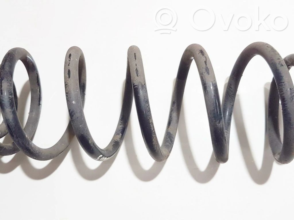 Rear coil spring