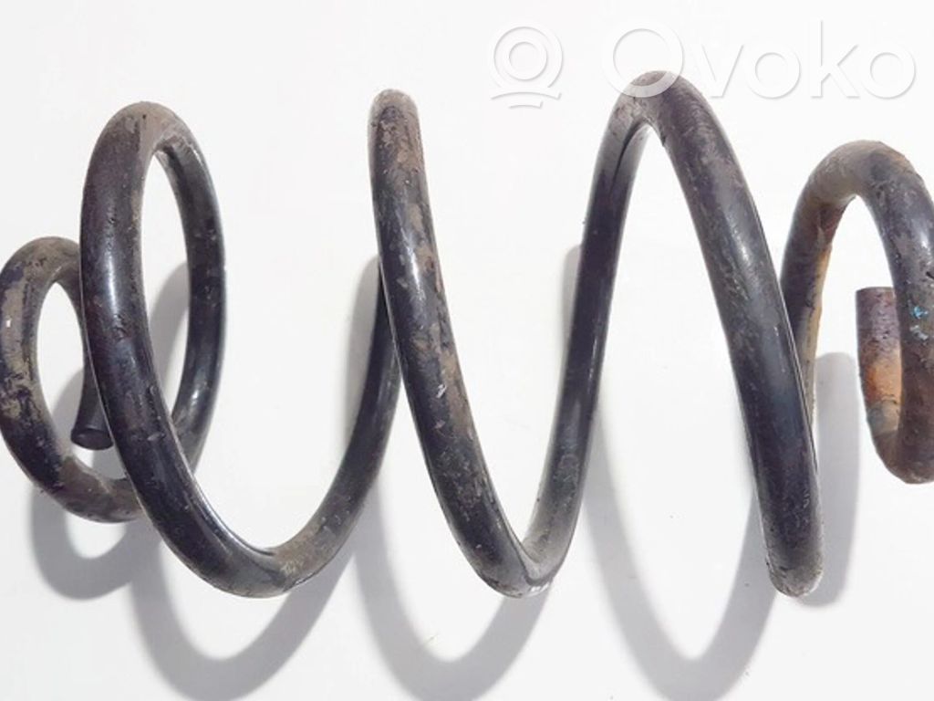 Muelle espiral trasero