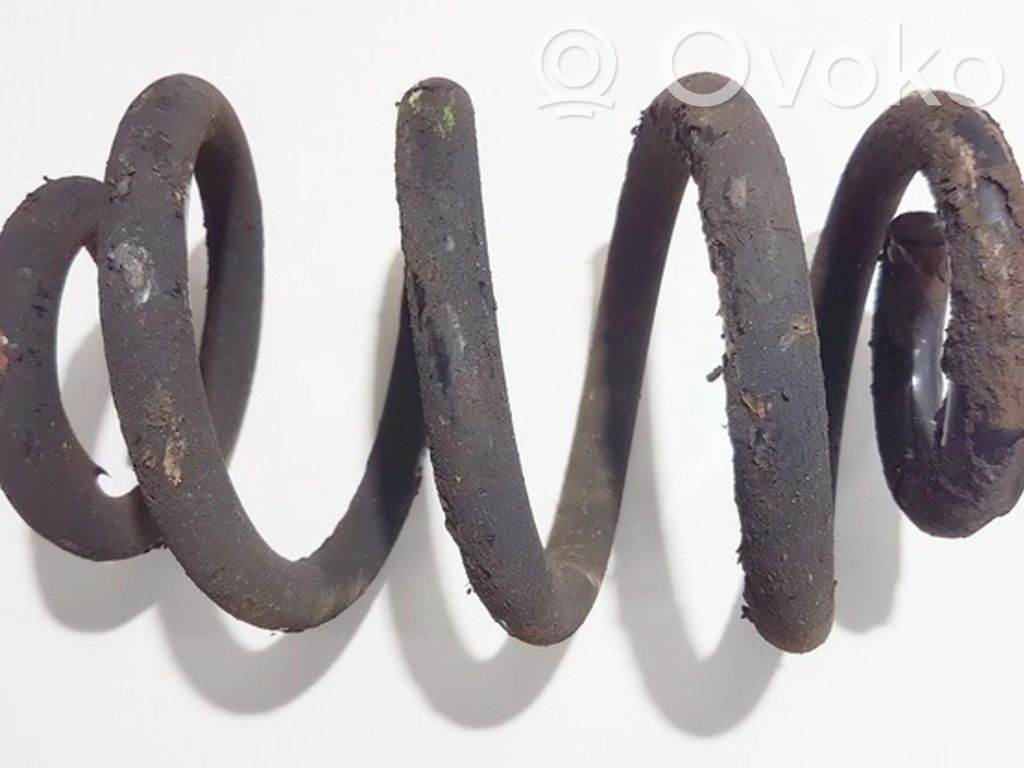 Front coil spring
