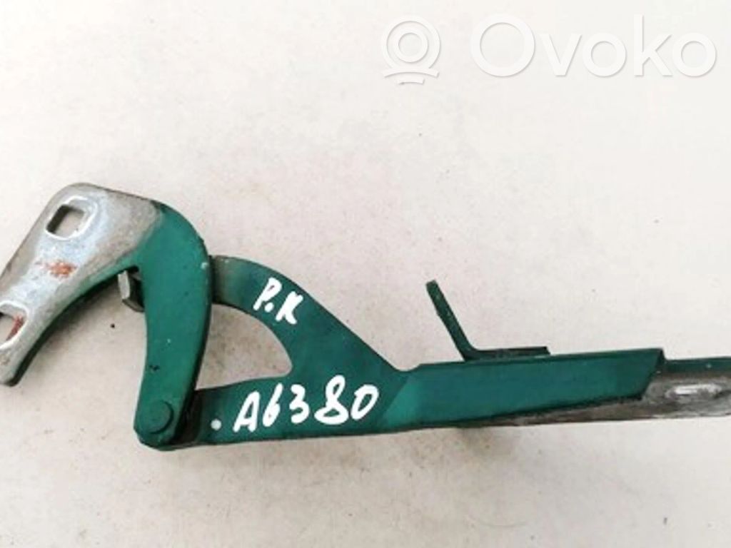 Cerniere del vano motore/cofano
