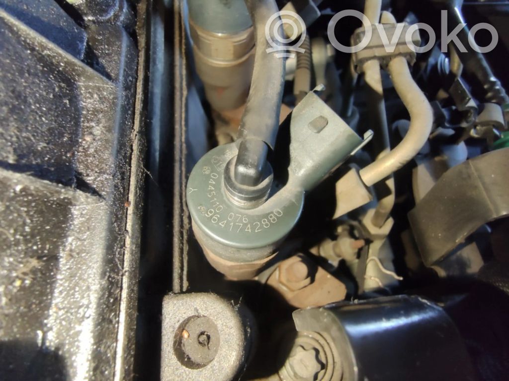 Injector combustibil   0445110076,9641742880,0445110076,9641742880