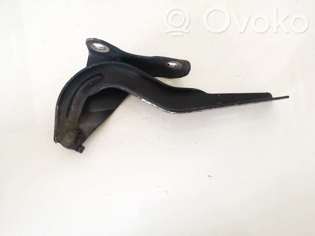 Bisagras del capó/tapa del motor