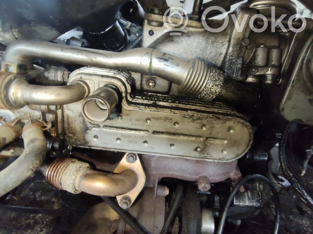 Volkswagen Bora Valvola di raffreddamento EGR 