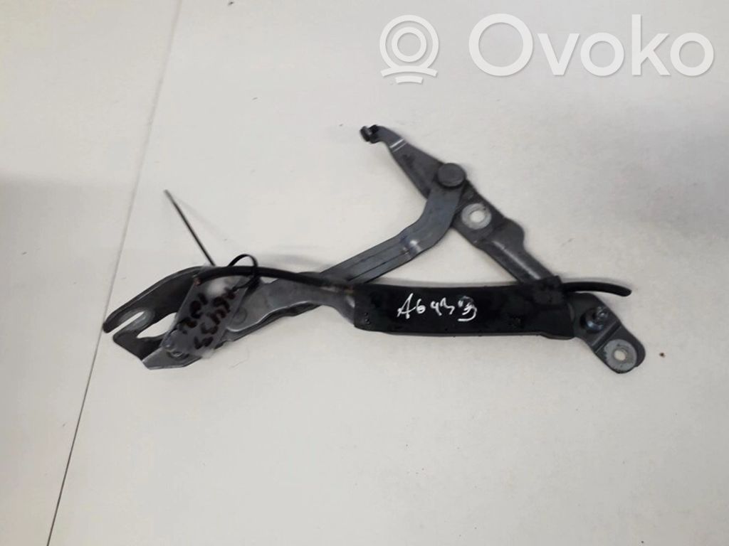 Tailgate/trunk/boot hinge