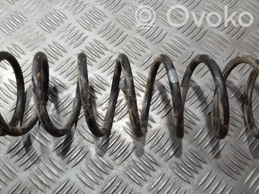 Rear coil spring