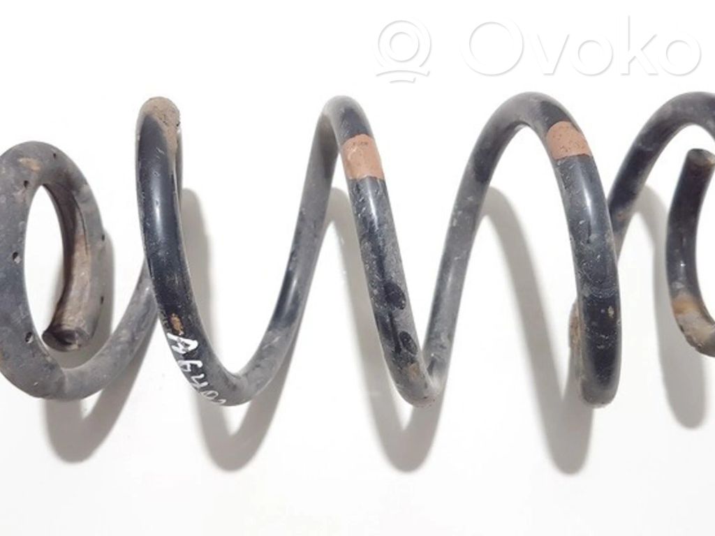 Rear coil spring