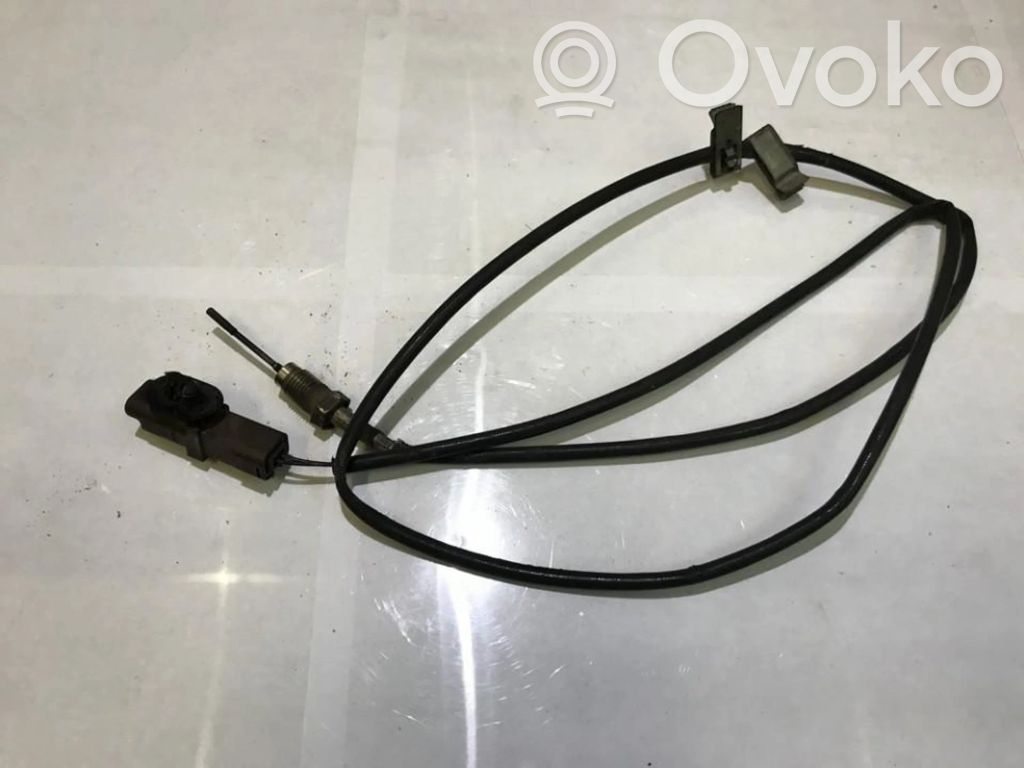 Abgastemperatursensor   9635119080,9635119080