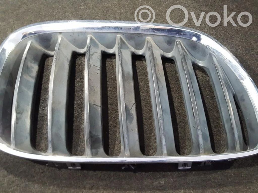 BMW X5 E53 Front bumper lower grill 