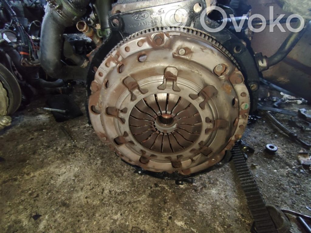 Ford Focus Sprzęgło / Komplet 