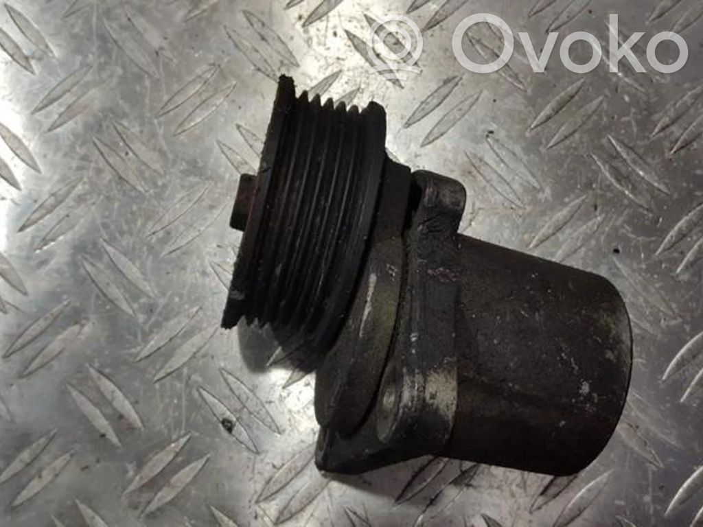 Ford Mondeo Mk III Napinacz paska alternatora 
