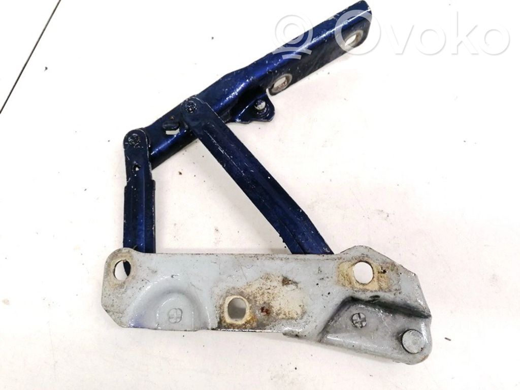 Cerniere del vano motore/cofano