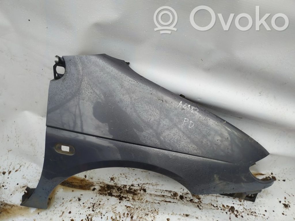 Renault Scenic I Sparnas 