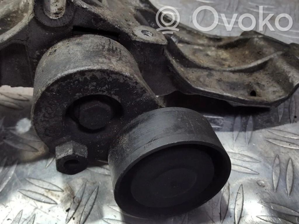 Renault Megane II Generator/alternator belt tensioner 