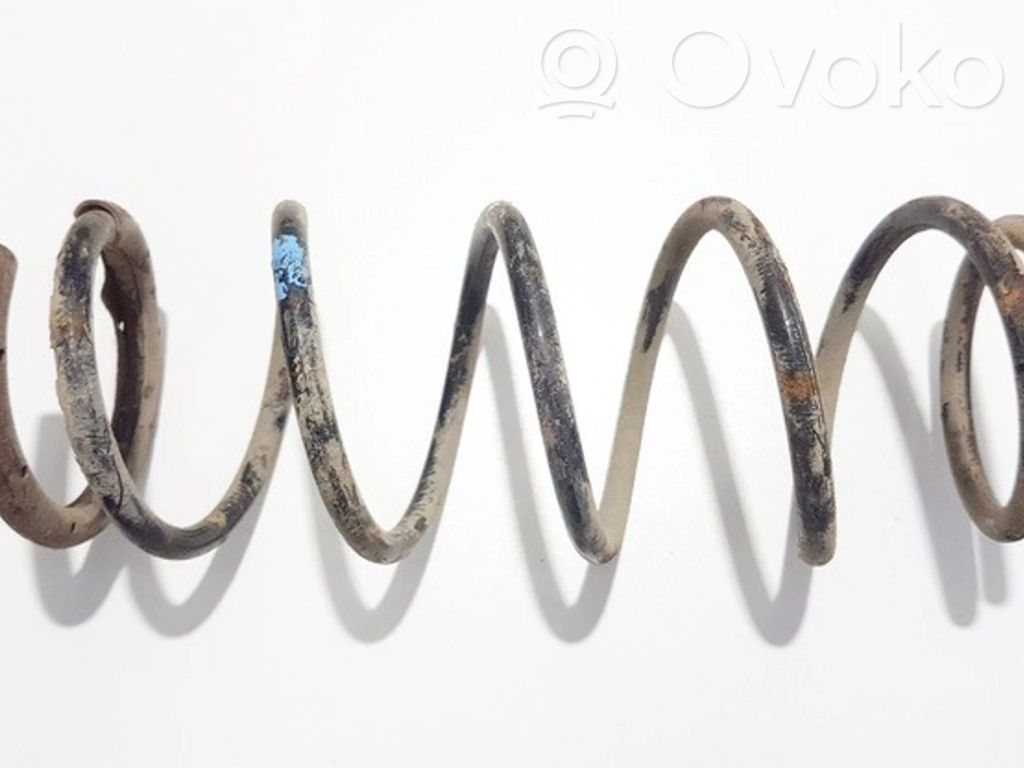 Muelle espiral trasero