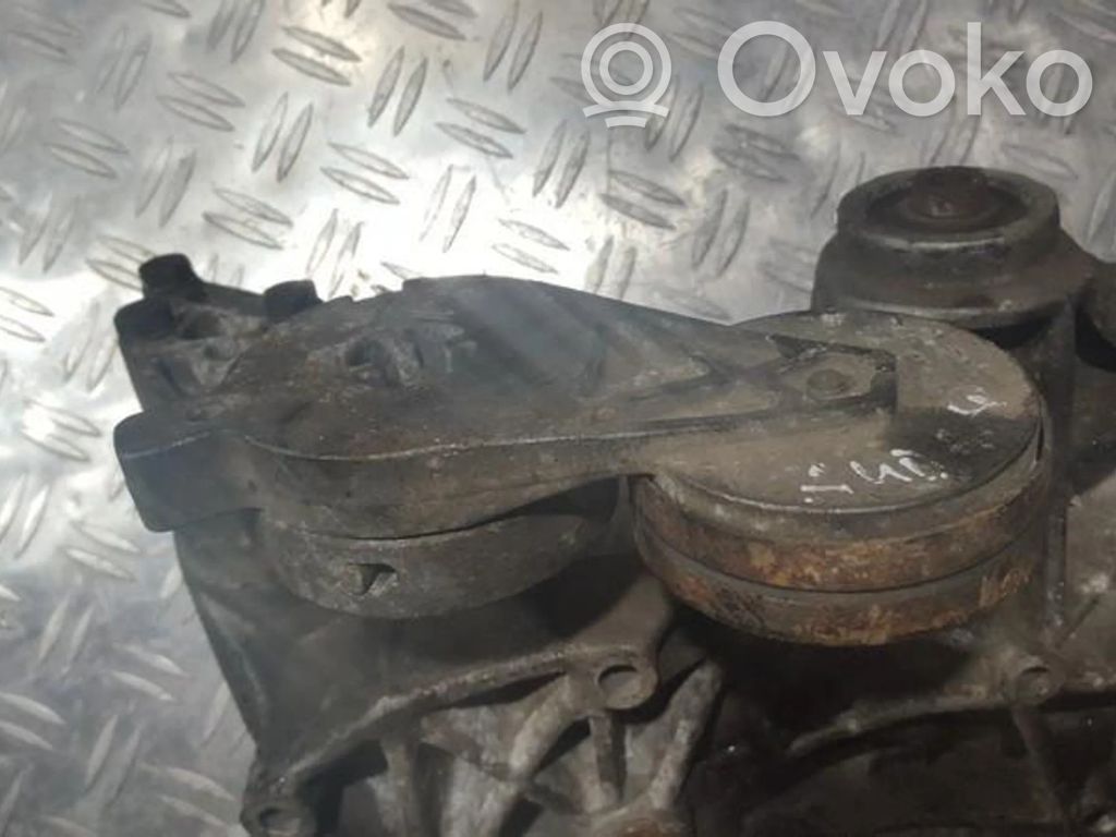 Audi A4 S4 B5 8D Tendicinghia generatore/alternatore 